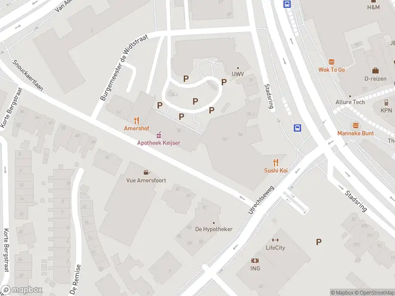 Brandweer met gepaste spoed naar de Arnhemsestraat in Amersfoort