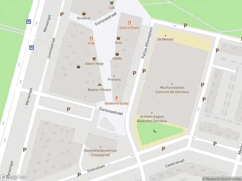 Overlastmelding Pallas Atheneplein in Arnhem