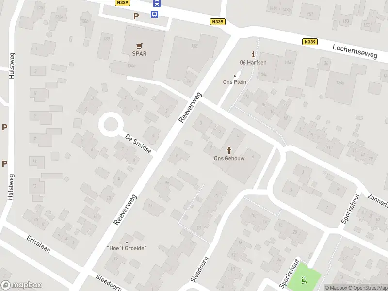 Brandweer met gepaste spoed naar de Lochemseweg in Harfsen vanwege stormschade