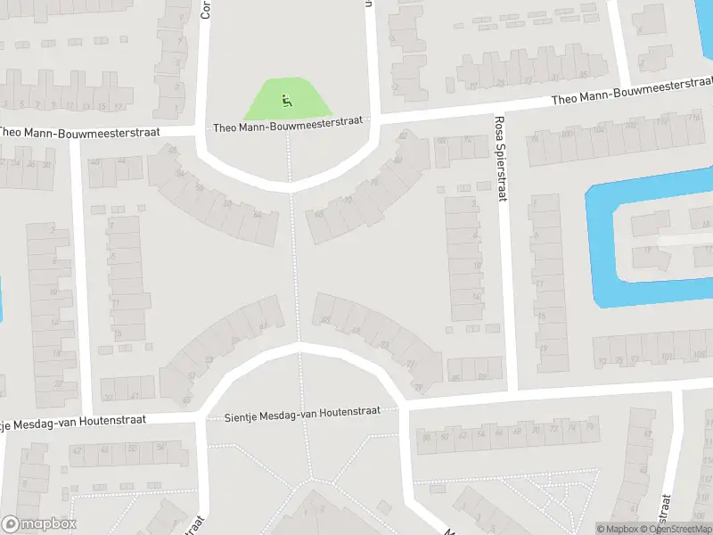 Brandweer met gepaste spoed naar de Theo Mann-Bouwmeesterstraat in Spijkenisse