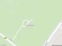 Brandweer met gepaste spoed naar de Zeeweg in Bergen vanwege stormschade