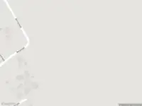 Brandweer met gepaste spoed naar de Tjalling Harkeswei in Hemrik vanwege dier(en) in nood