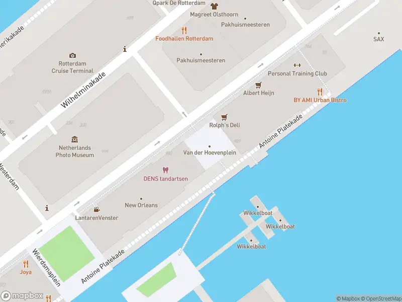 Ambulance naar de Van der Hoevenplein in Rotterdam