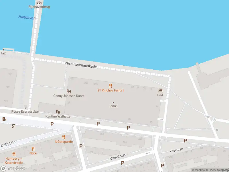 Ambulance met grote spoed naar de Nico Koomanskade in Rotterdam