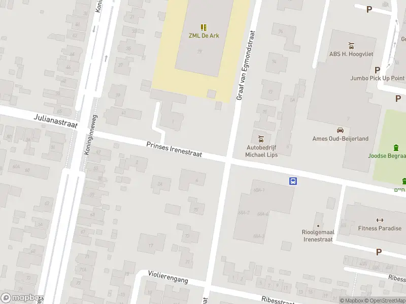Overlastmelding Prinses Irenestraat in Oud-Beijerland