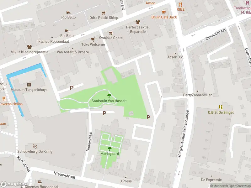 Politie naar de Boulevard in Roosendaal