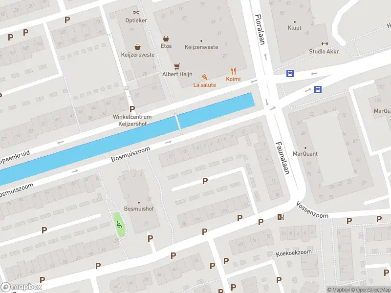 Politie met grote spoed naar de Bosmuiszoom in Pijnacker vanwege voertuigen te water