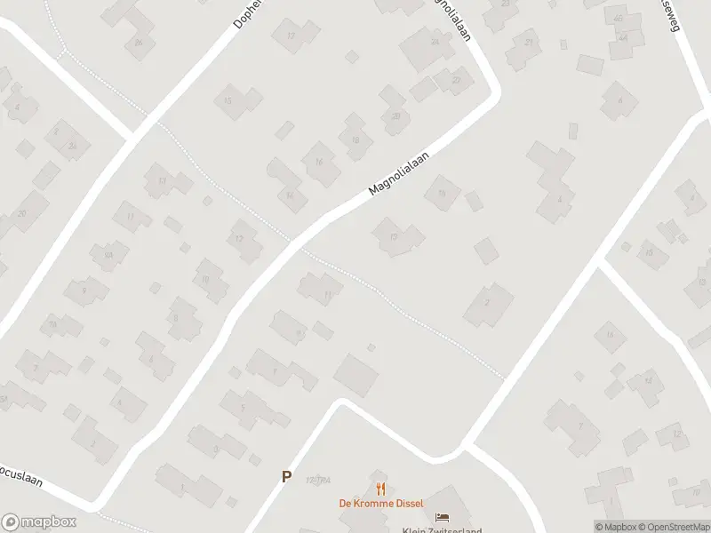 Overlastmelding Magnolialaan in Heelsum