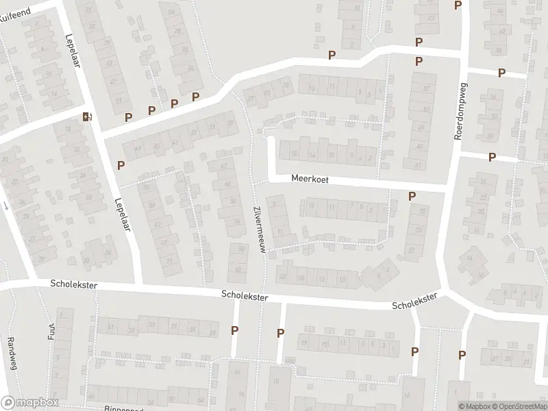 112 melding Overlastmelding Zilvermeeuw in Oud-Beijerland gesloten