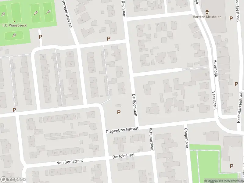 Anonieme overlastmelding De Roonlaan in Waspik