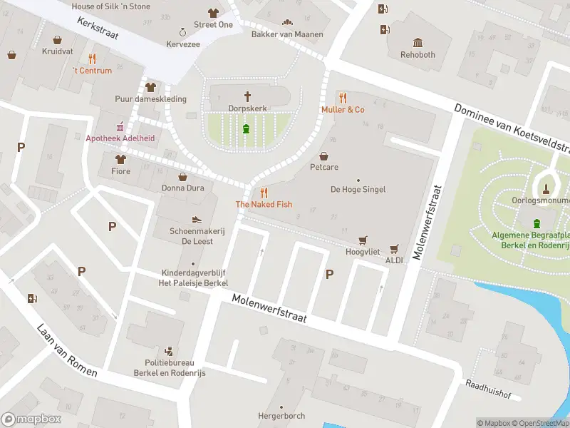 Ambulance met gepaste spoed naar de Molenwerfstraat in Berkel en Rodenrijs