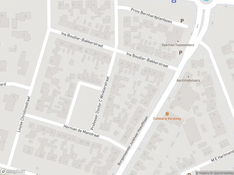 Brandweer met gepaste spoed naar de Lijnbaan in Vianen