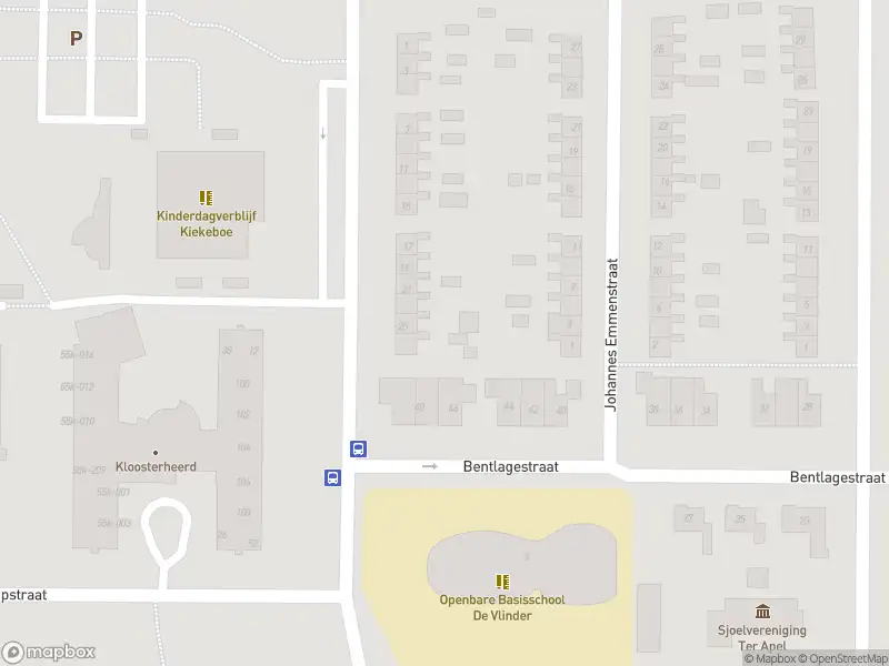 Politie met grote spoed naar de Marktstraat in Ter Apel vanwege ongeval met letsel