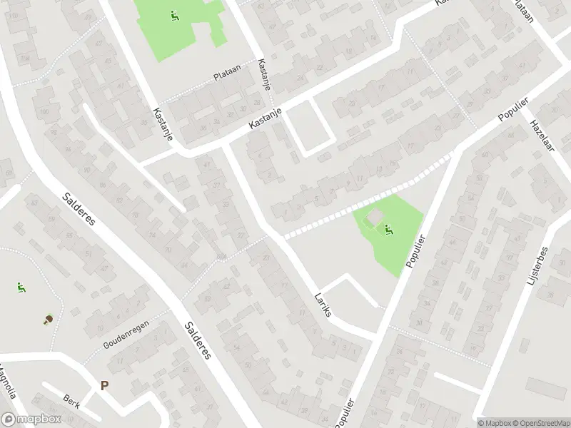 Overlastmelding Populier in Best