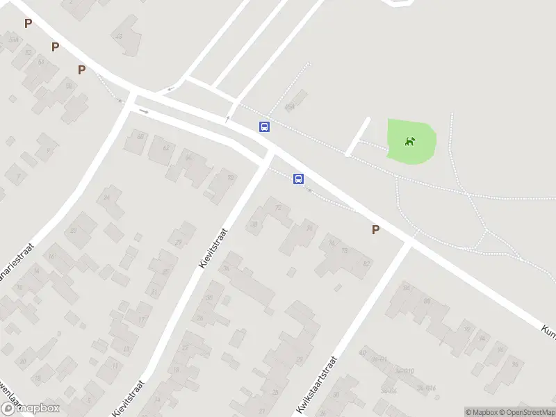 Overlastmelding Kummenaedestraat in Geleen gesloten