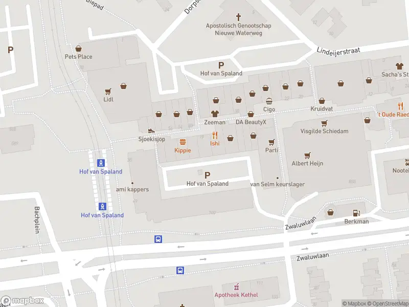 Ambulance met grote spoed naar de Hof van Spaland in Schiedam