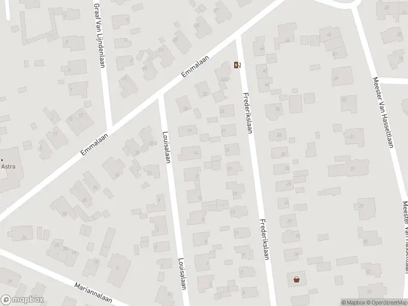 Politie naar de Hoofdstraat in Apeldoorn