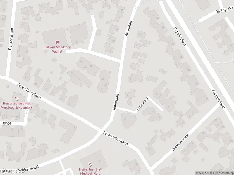 Politie naar de Iepenlaan in Veghel vanwege ongeval met letsel