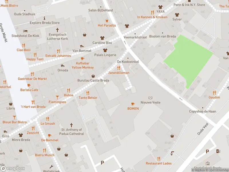 Brandweer met gepaste spoed naar de Catharinastraat in Breda