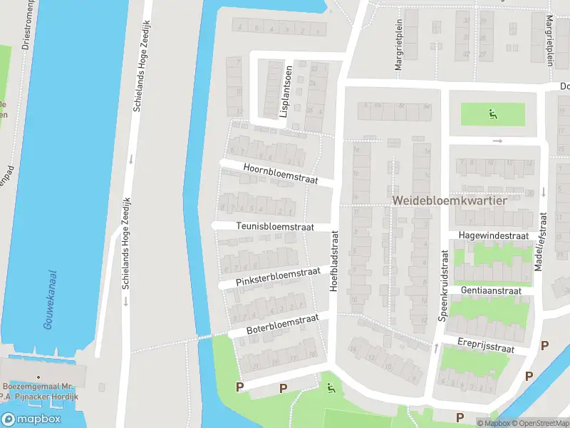 Brandweer met gepaste spoed naar de Teunisbloemstraat in Gouda