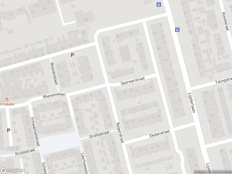 Ambulance met gepaste spoed naar de Sperwerstraat in Alphen aan den Rijn