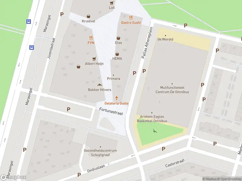 Politie naar de Pallas Atheneplein in Arnhem vanwege aanrijding met letsel