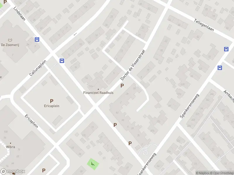 Overlastmelding Doctor de Visserstraat in Dieren