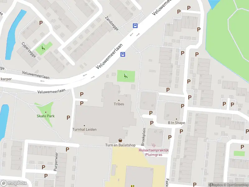 Ambulance met grote spoed naar de Pluimgras in Leiden