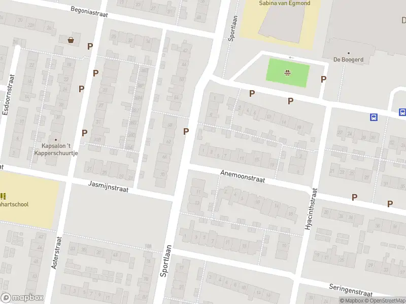 112 melding Overlastmelding Anemoonstraat in Oud-Beijerland