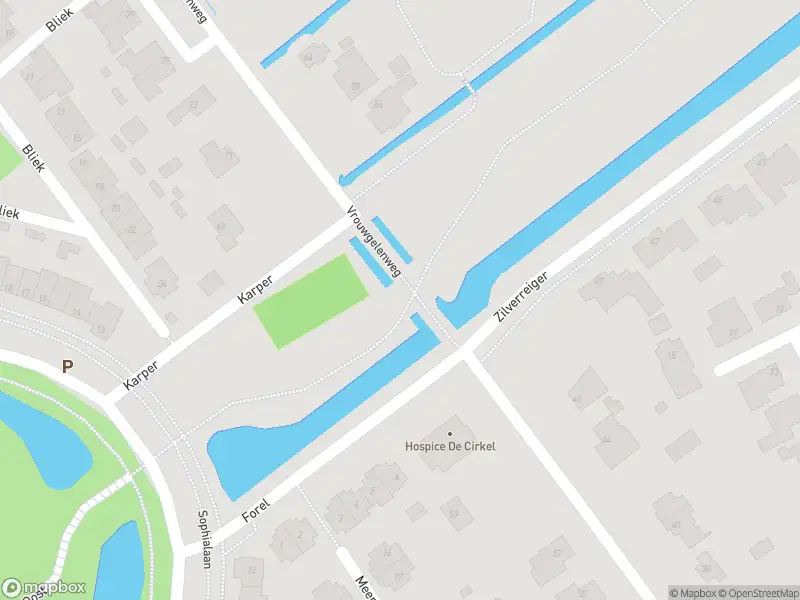 Overlastmelding Zalm in Hendrik-Ido-Ambacht gesloten