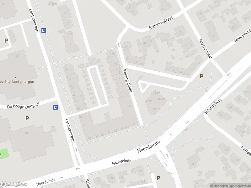 Overlastmelding Koningslinde in Zevenaar