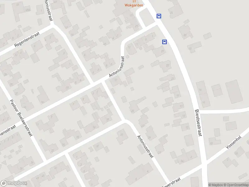 Overlastmelding Antoniusstraat in Biest-Houtakker