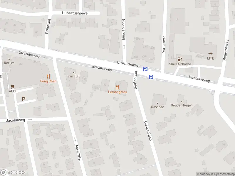 Overlastmelding Utrechtseweg in Oosterbeek