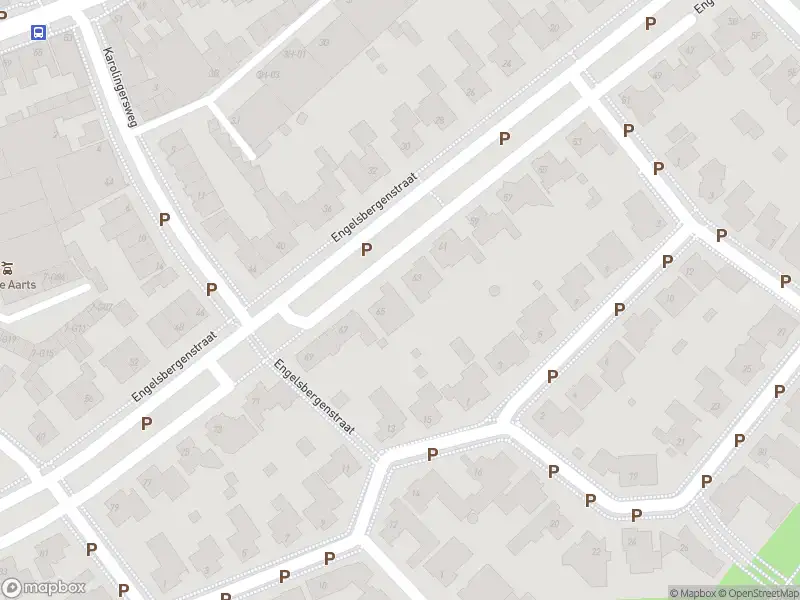 Overlastmelding Karolingersweg in 5616HX Eindhoven