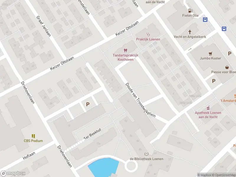 Overlastmelding Doude van Troostwijkplein in Loenen aan de Vecht gesloten