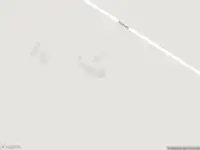 Politie met grote spoed naar de Veldweg in Coevorden vanwege ongeval met letsel