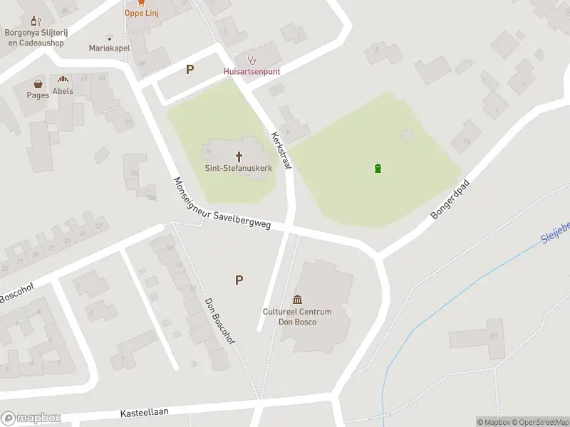 Overlastmelding Mgr. Savelbergweg in Heel