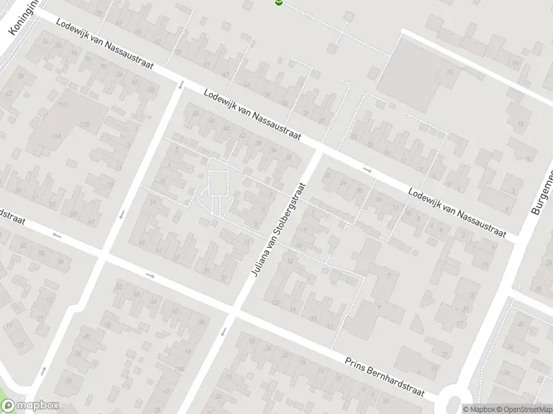 Overlastmelding Lodewijk van Nassaustraat in 3331BL Zwijndrecht