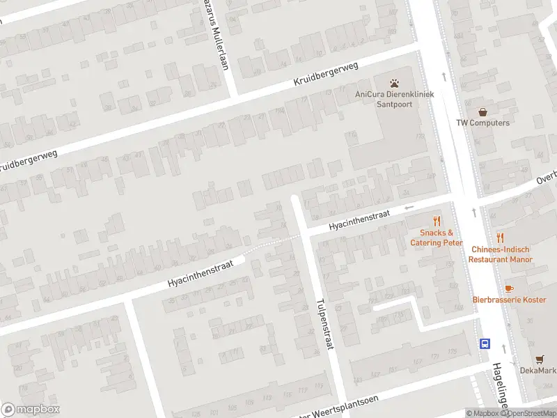 Overlastmelding Tulpenstraat in Santpoort-Noord