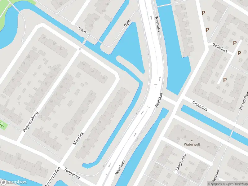 Overlastmelding Maurick in Hillegom