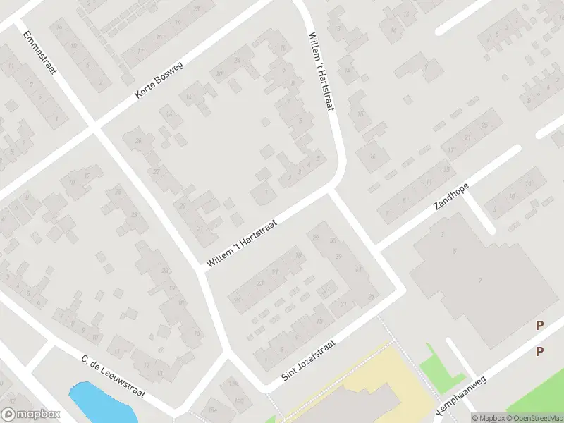 Overlastmelding Willem 't Hartstraat in 't Zand