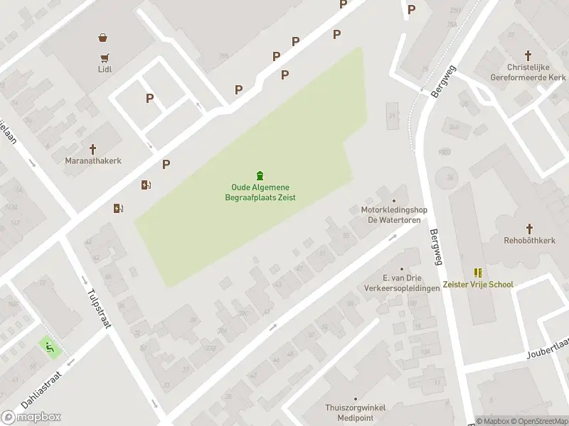 Brandweer met gepaste spoed naar de Tulpstraat in Zeist