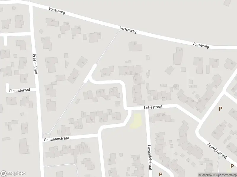 Ambulance met gepaste spoed naar de Madeliefhof in Weert