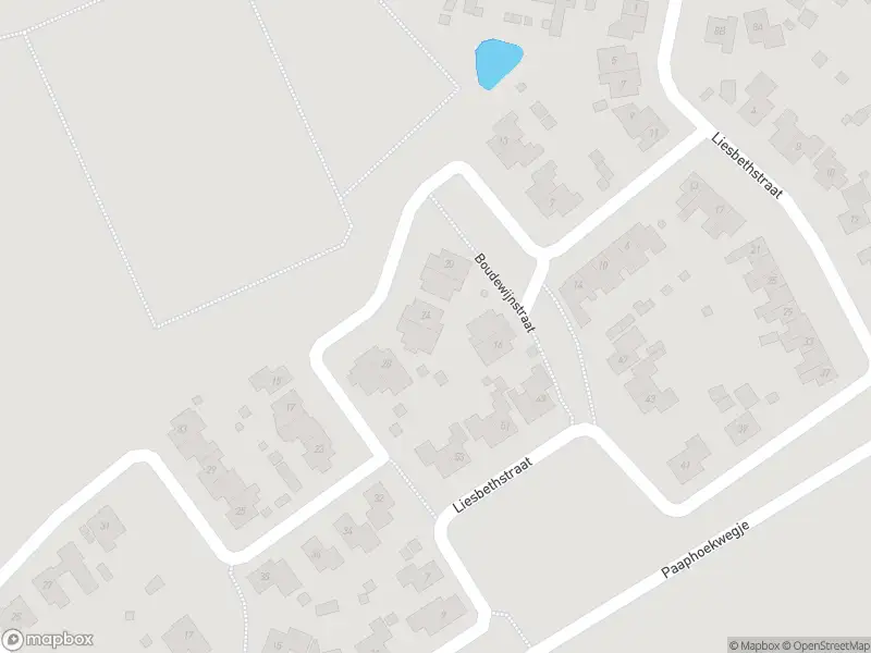 Overlastmelding Boudewijnstraat in 's-Heer Arendskerke