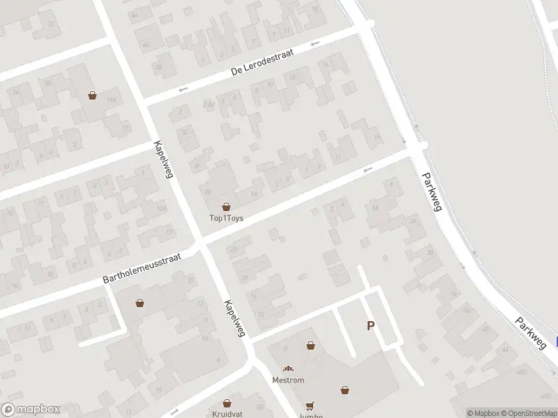 Overlastmelding Burgemeester Hoenstraat in Born