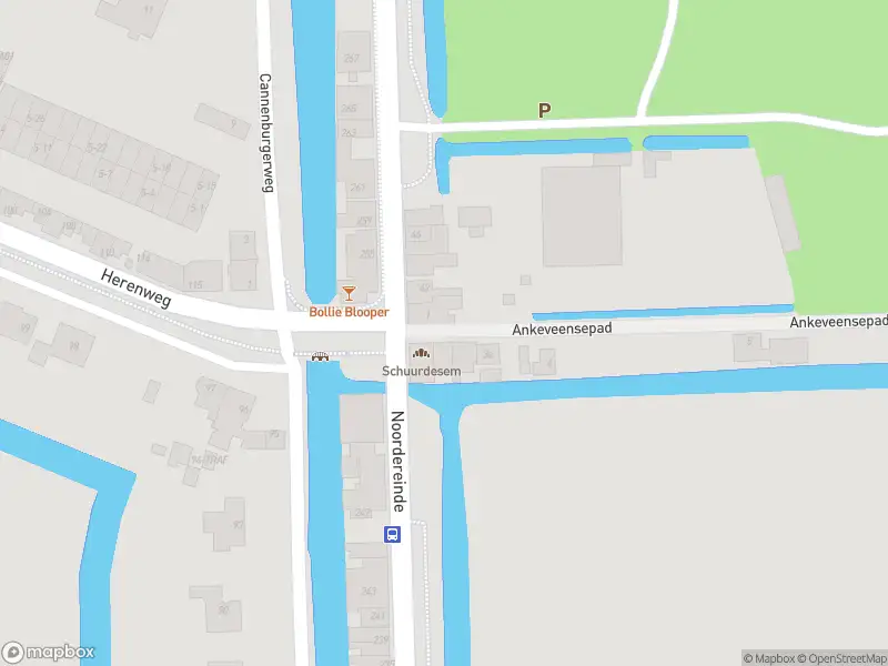 Overlastmelding Ankeveensepad in 's-Graveland