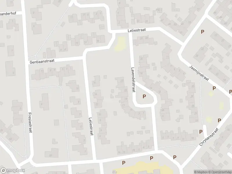 Ambulance met grote spoed naar de Leliestraat in Weert