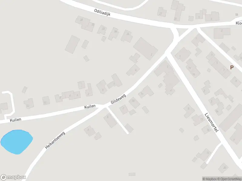 Brandweer met grote spoed naar de Liesmortel in Sint Agatha vanwege waarnemen gaslucht