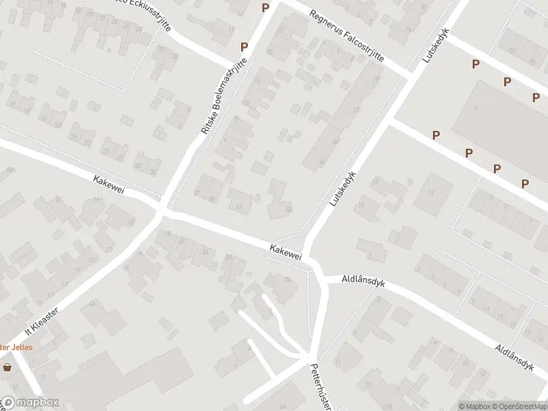 Overlastmelding Seefugel in Stiens