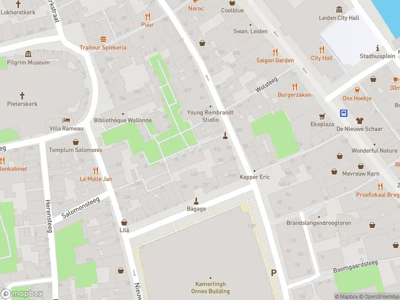 Ambulance met gepaste spoed naar de Gekroonde Liefdepoort in Leiden